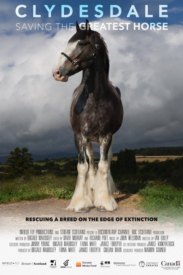 Clydesdale: Saving The Greatest Horse