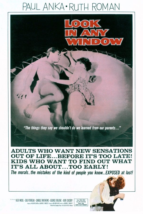Look In Any Window