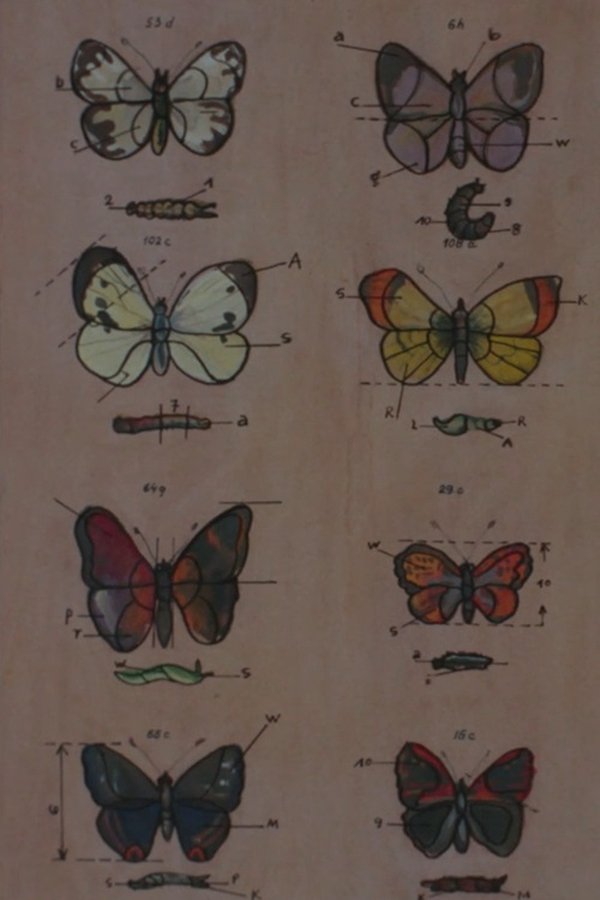 Lekcja Anatomii
