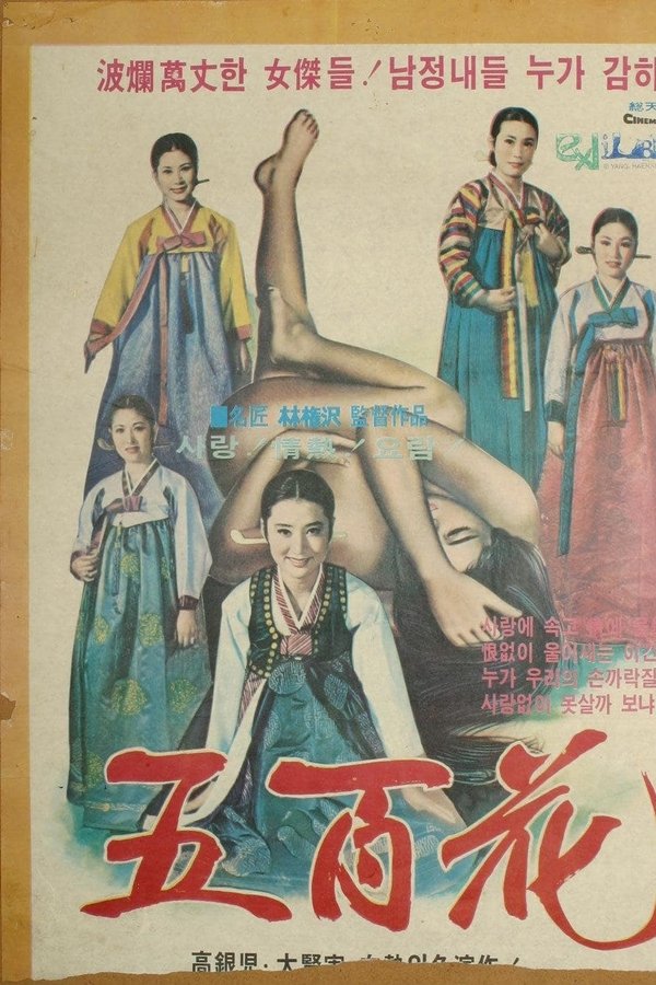 장안명기 오백화