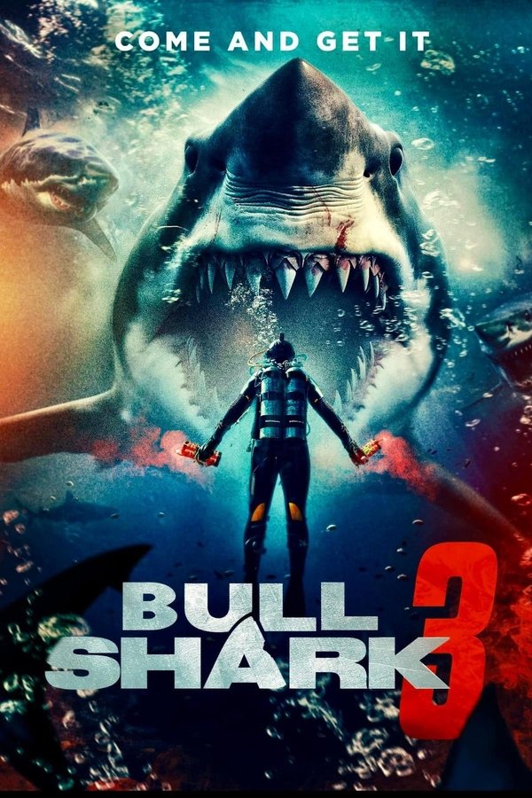 Bull Shark 3