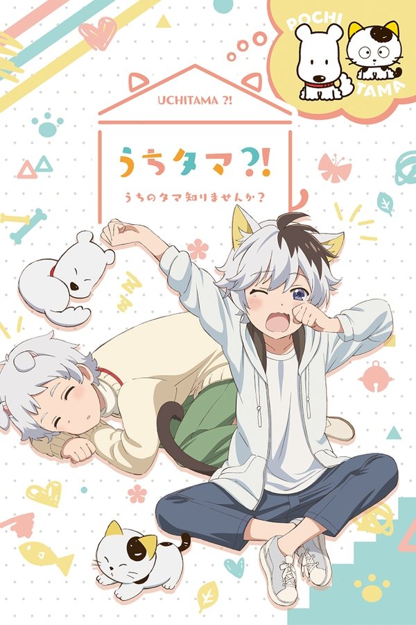Uchitama?! Have You Seen My Tama?