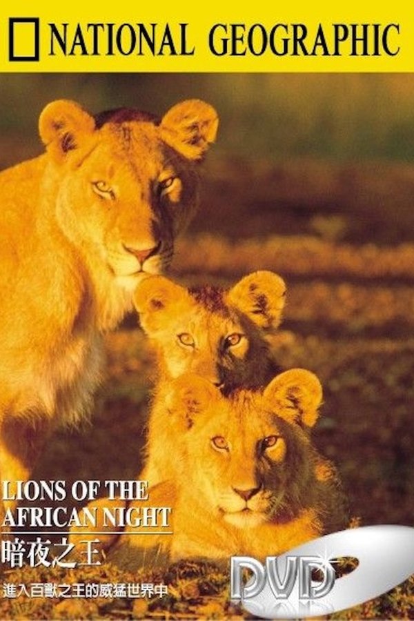 Lions Of The African Night