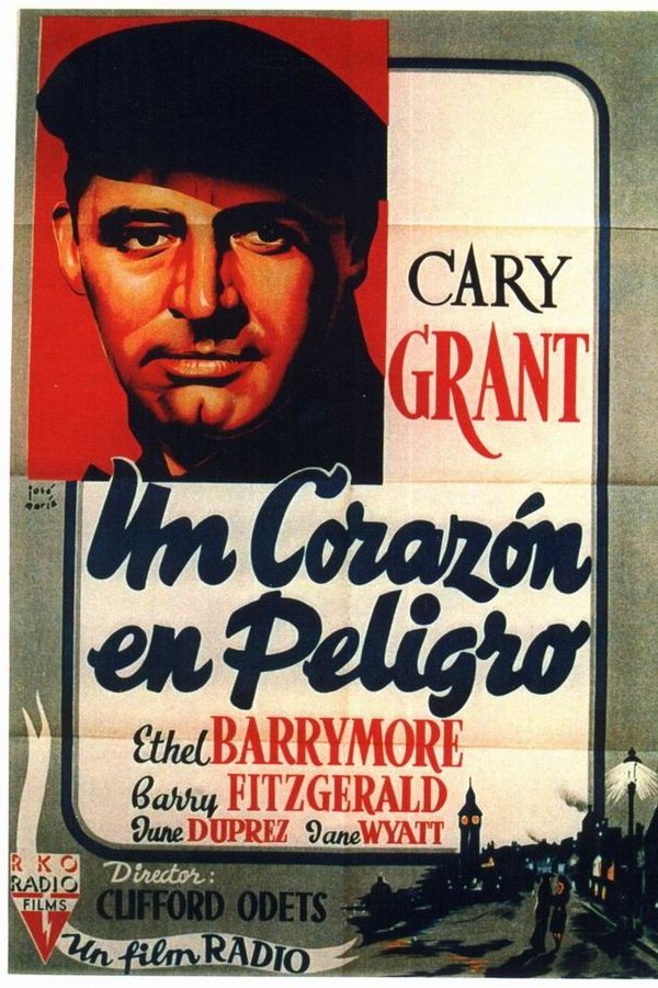 Un Desolado Corazón