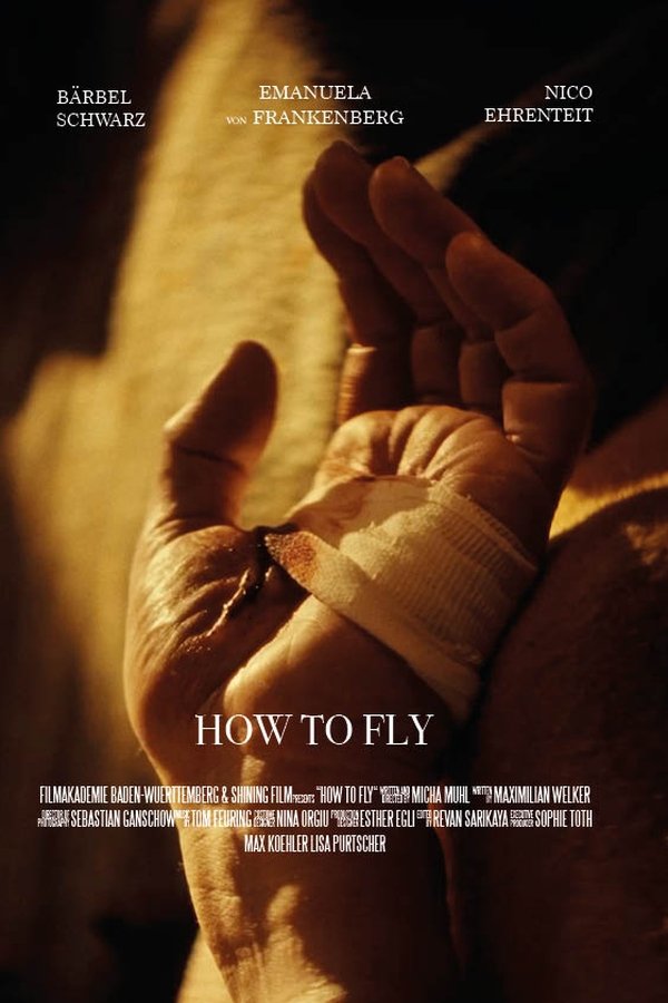 How To Fly