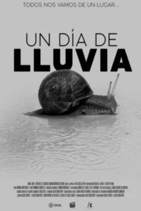 Un Día De Lluvia