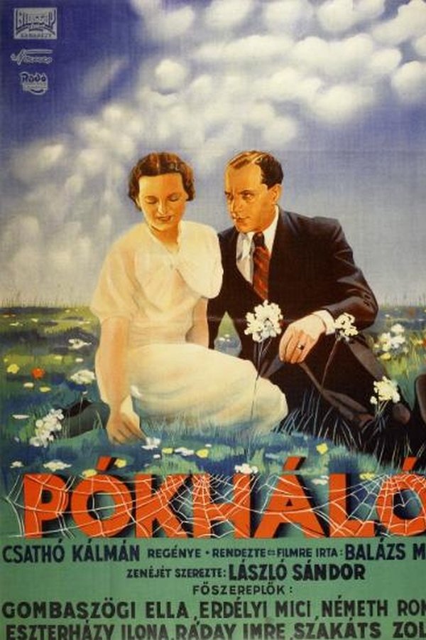 Pókháló