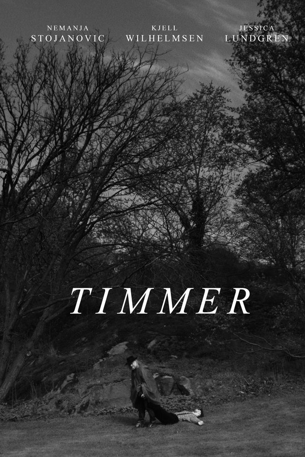Timmer