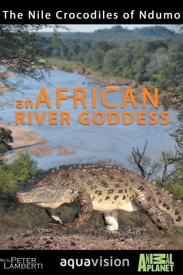 River Dragons Of Ndumo