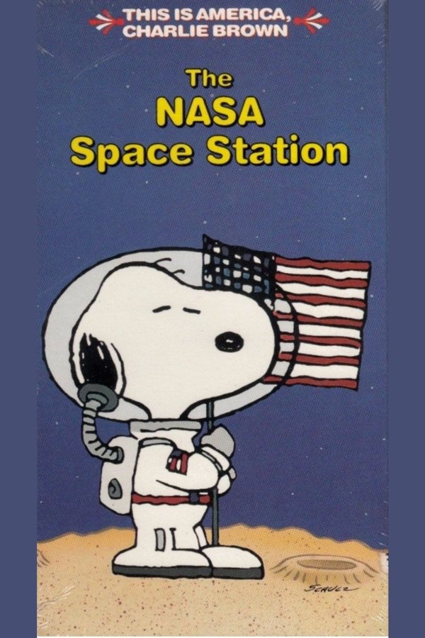 The NASA Space Station
