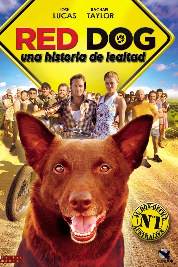 Las Aventuras Del Perro Rojo
