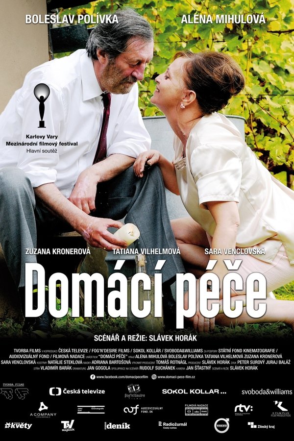 Domácí Péče