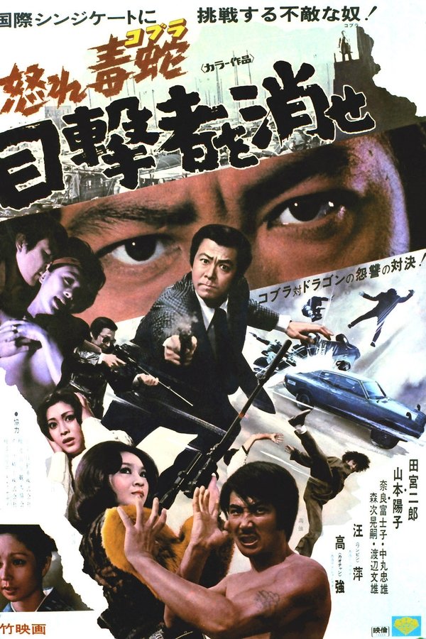 怒れ毒蛇　目撃者を消せ