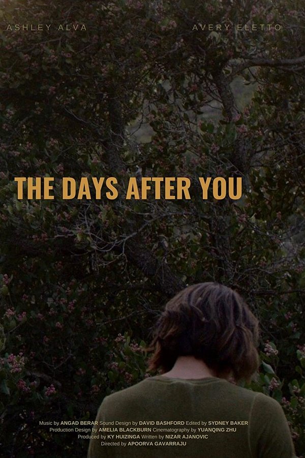 The Days After You