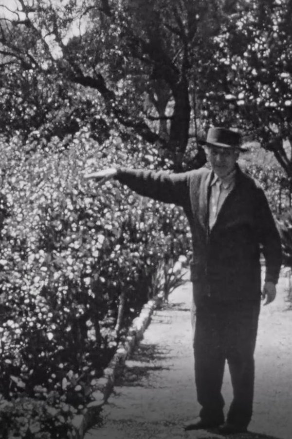 Chagall Dans Son Jardin A Saint-Paul-de-Vence