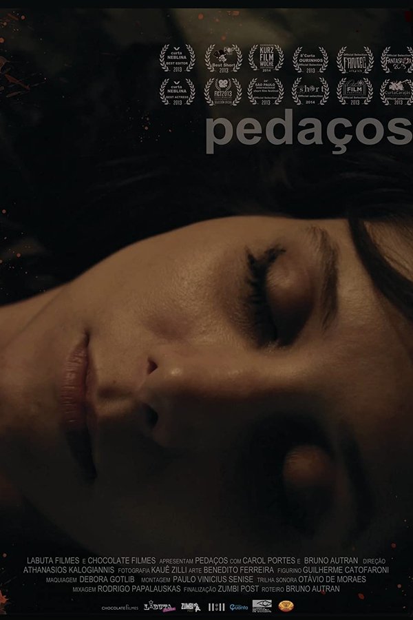 Pedaços