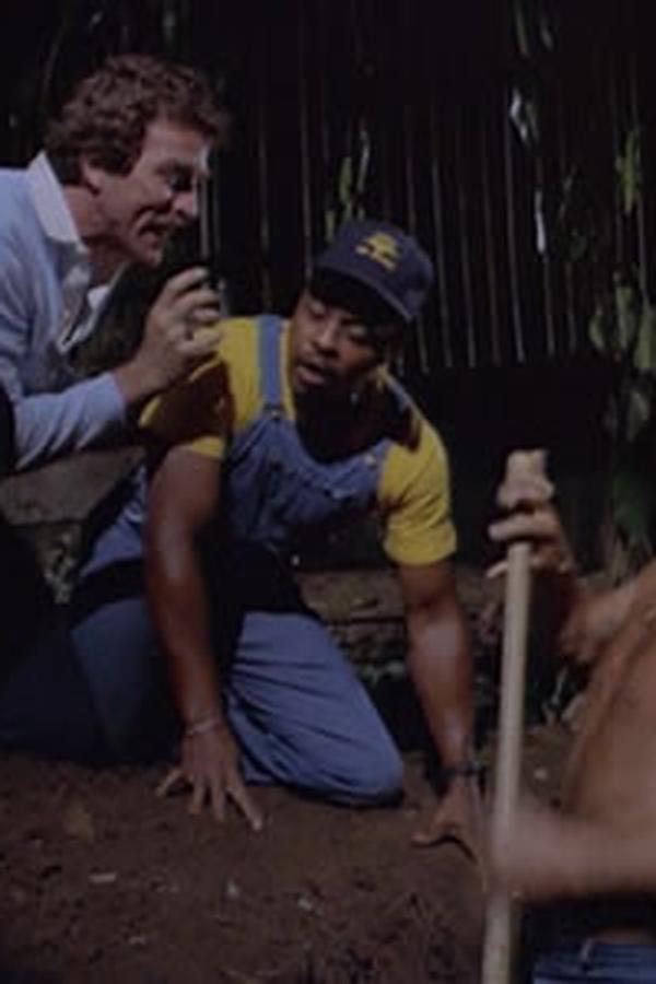 Magnum P.I. – S02E03 – Ombre dal passato
