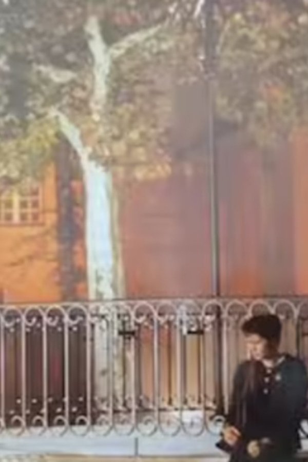 In the Country of Juliets poster