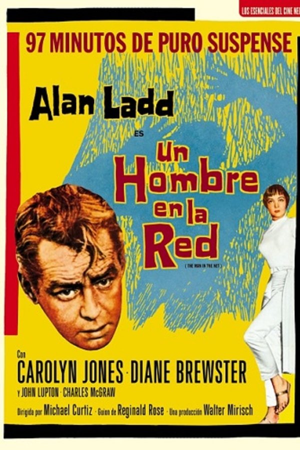 Un hombre en la red