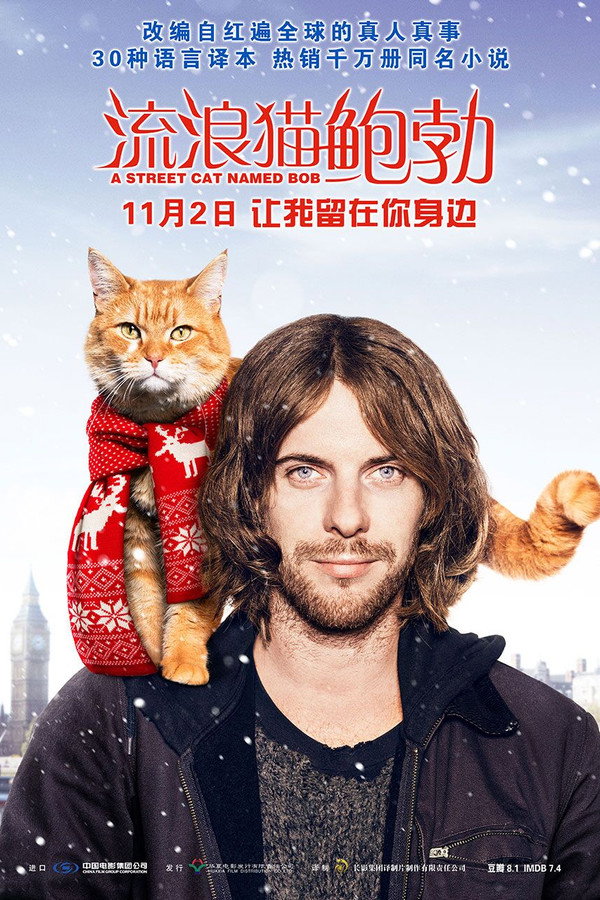 流浪猫鲍勃