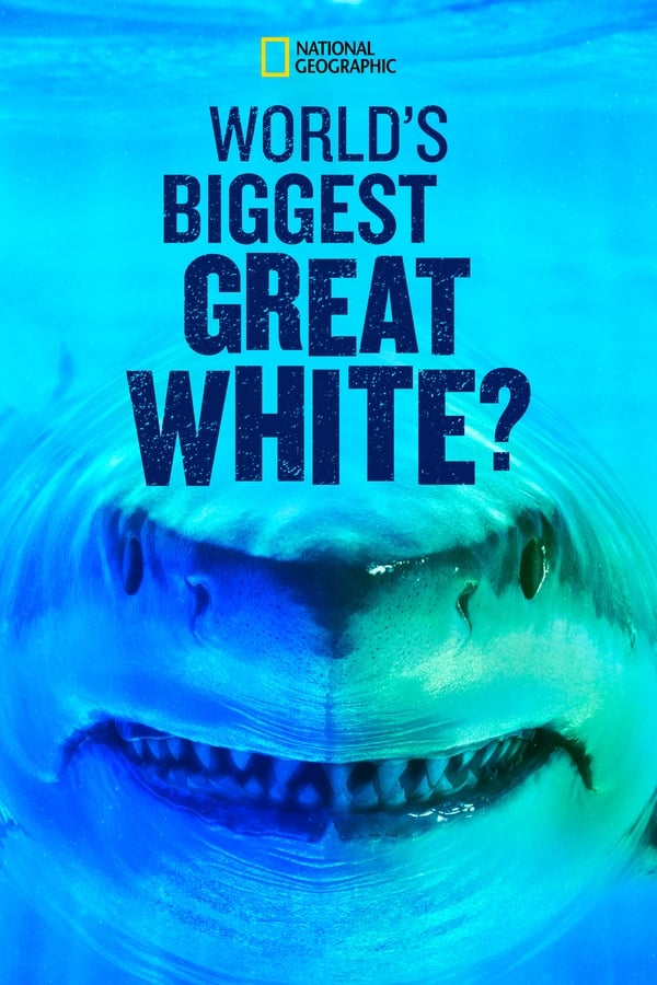 TVplus D+ - World's Biggest Great White?  (2019)