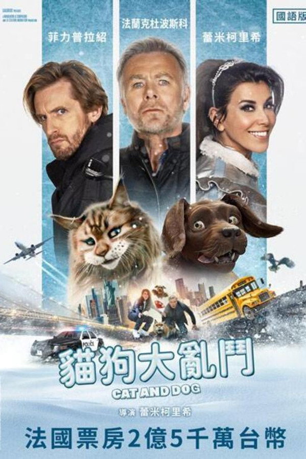 猫狗大乱斗