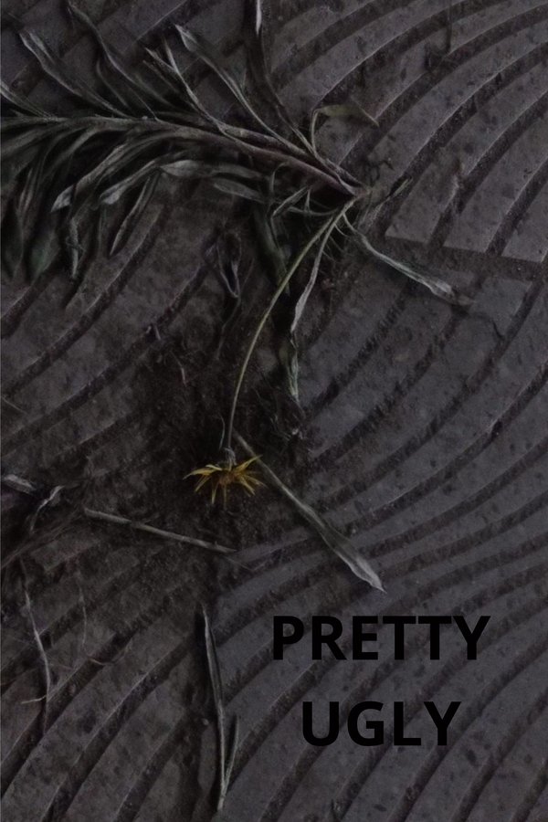 Pretty Ugly