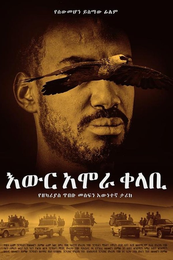 Ewir Amora Kelabi poster