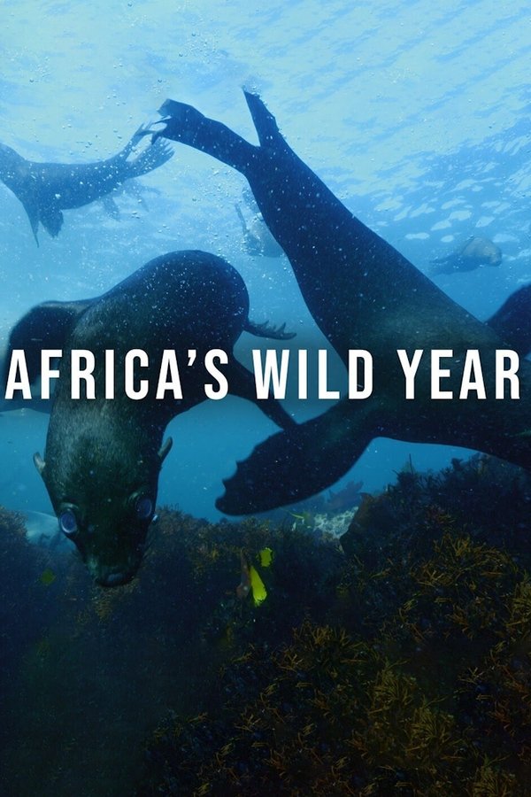 Africa's Wild Year