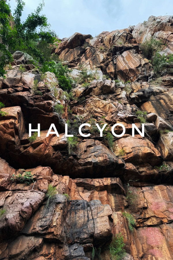 Halcyon