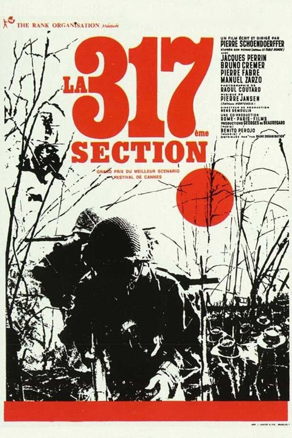 La 317ème section