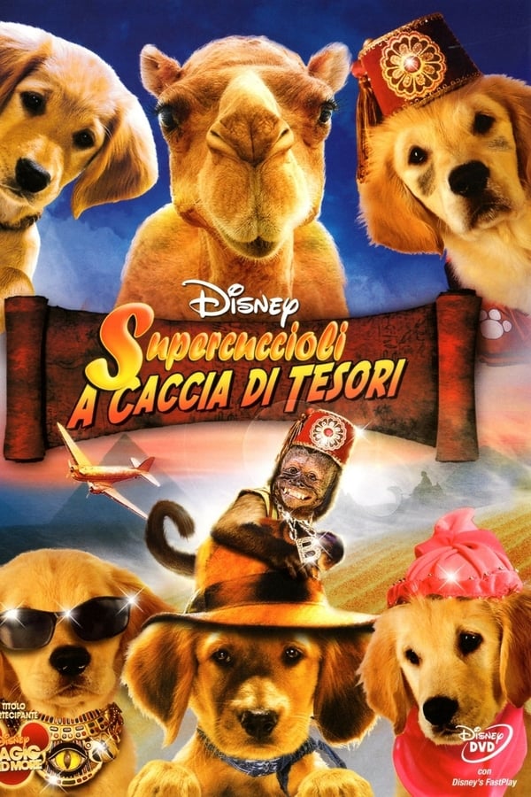 Supercuccioli a caccia di tesori