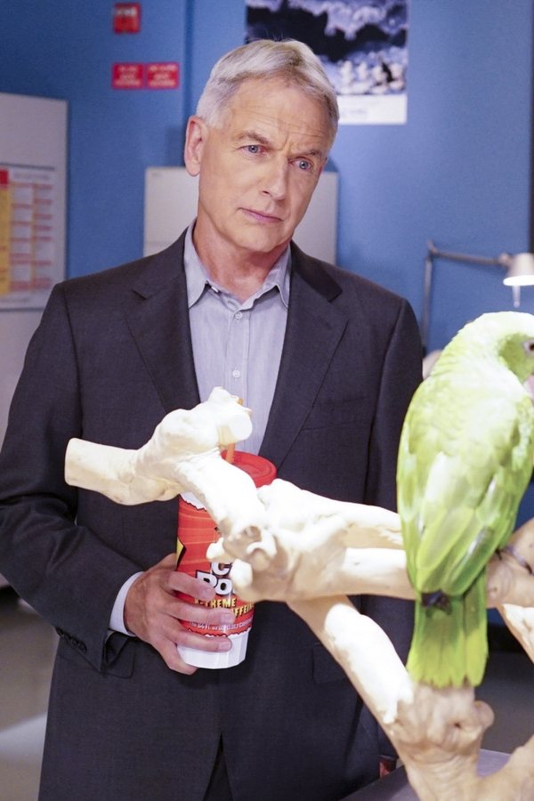 NCIS – Unità anticrimine – S14E03 – Segreto professionale