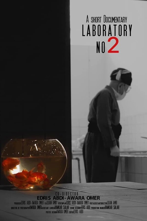 Laboratory No.2