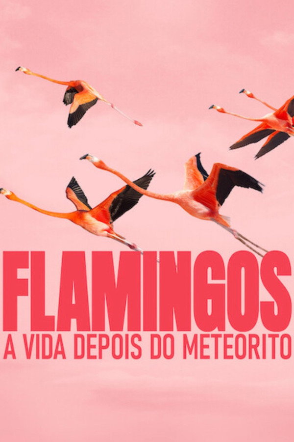 Flamingos A Vida Depois do Meteorito [Lançamento]