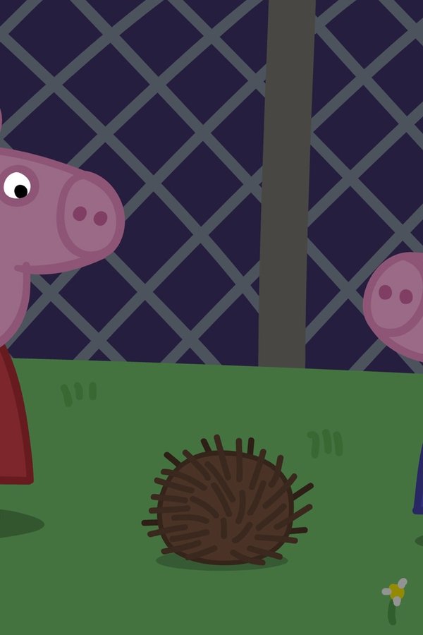 Peppa Pig – S04E35 – Buonanotte animaletti