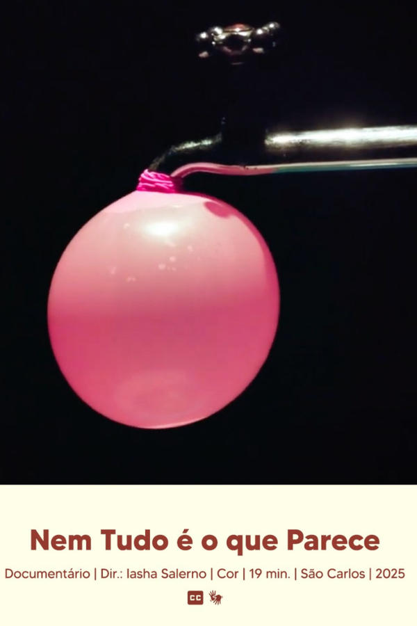 Nem Tudo é o que Parece