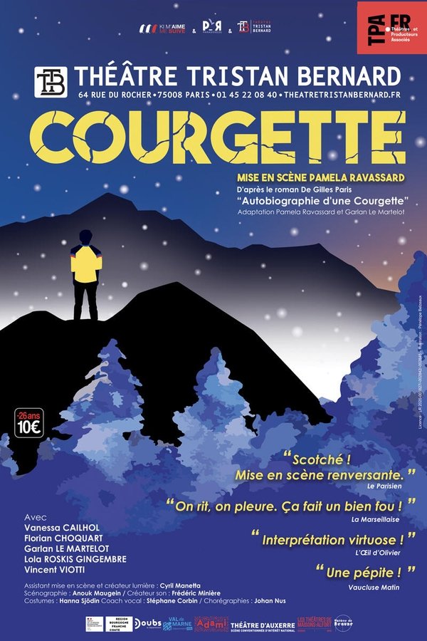 Icare, 9 ans, surnommé Courgette est envoyé au foyer pour enfants Les Fontaines, après un accident tragique. Là-bas, il y trouve l'amitié, l'amour et la musique.