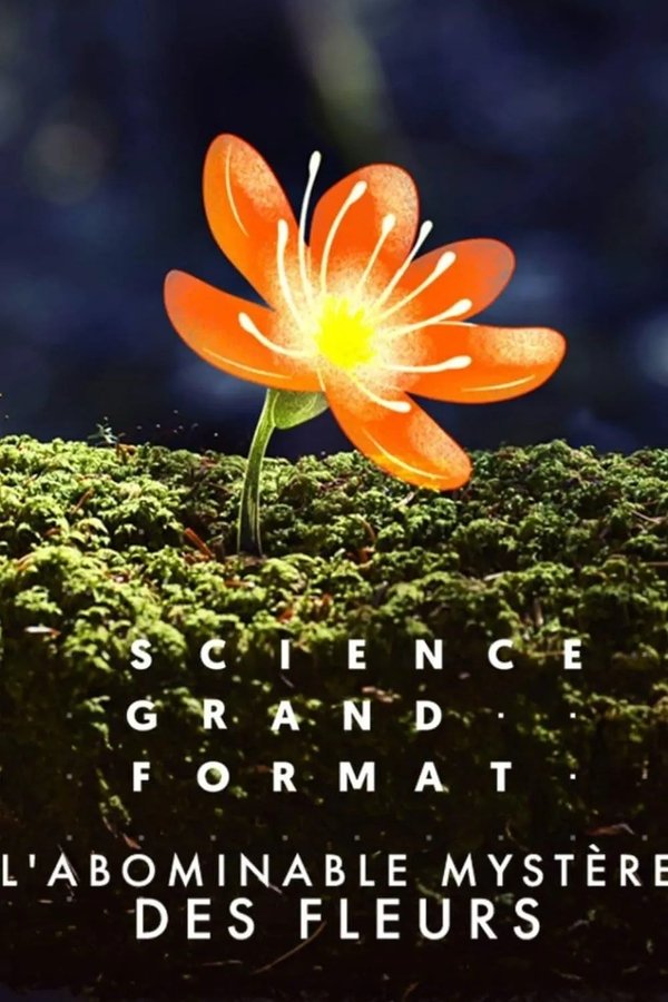 Flower Power: The Mysterious Conqueror poster