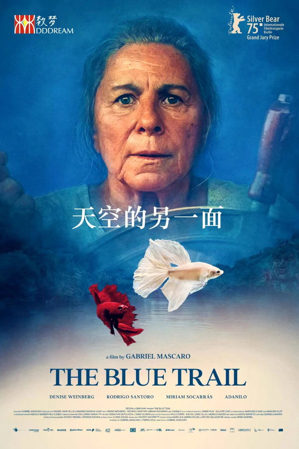 天空的另一面