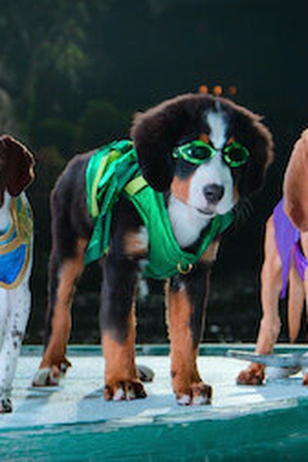 Super PupZ – S01E07 – Un mistero da risolvere