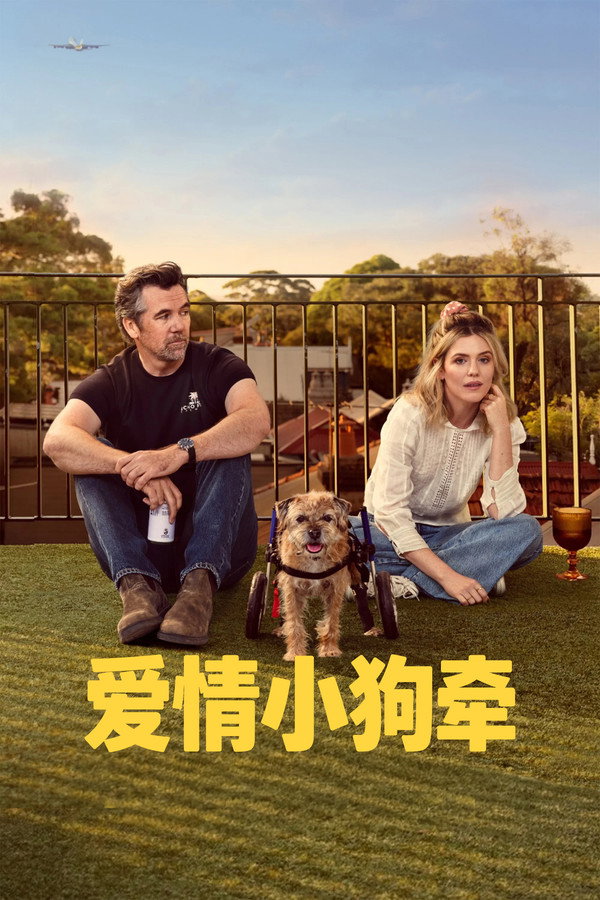 客户部的科林第3季