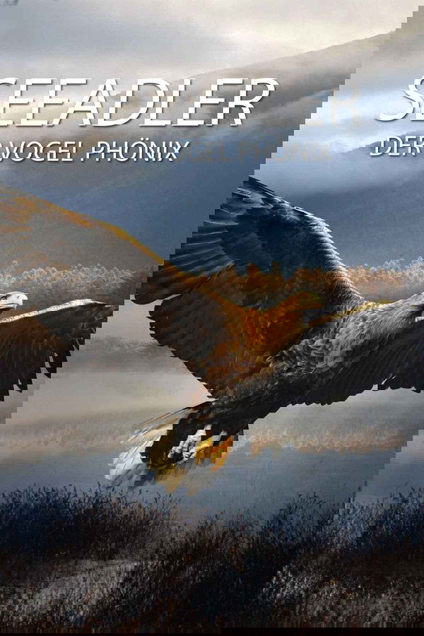 Seeadler - Der Vogel Phönix poster