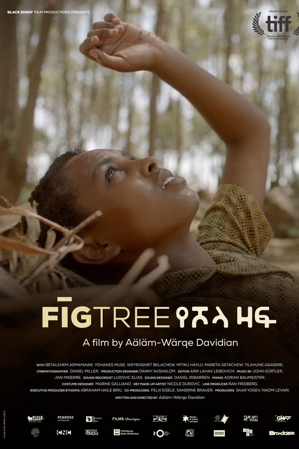 Fig Tree poster