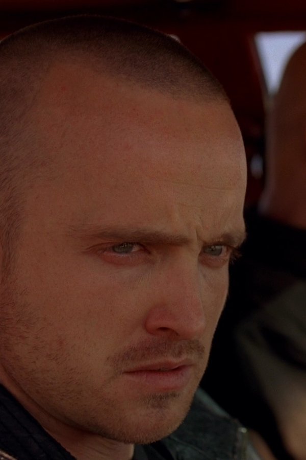 Breaking Bad – Reazioni collaterali – S04E04 – La versione di Skyler