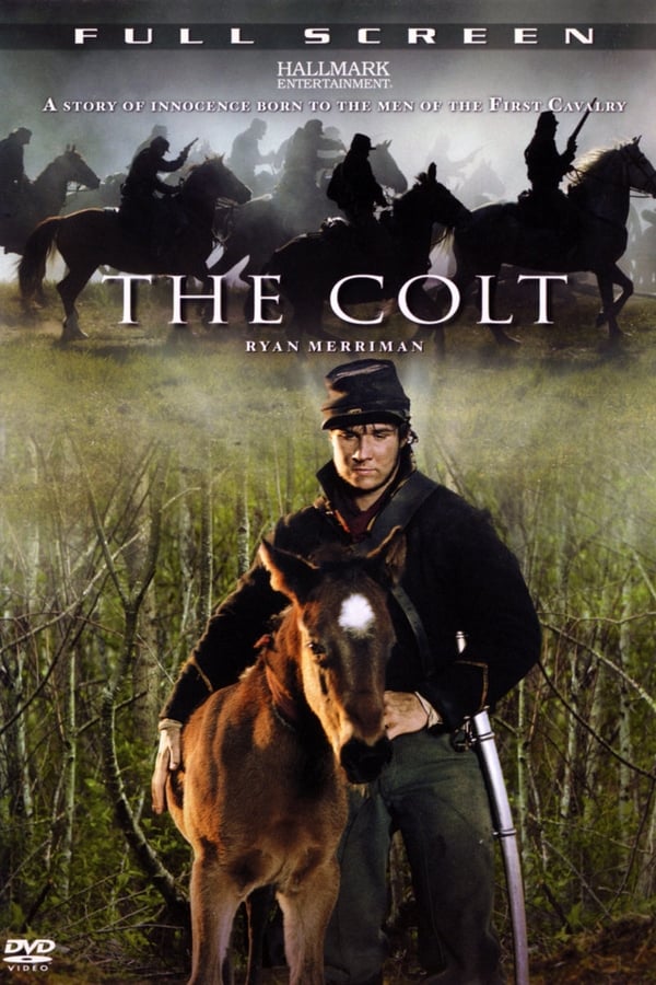 The Colt – Entscheidung im Bürgerkrieg