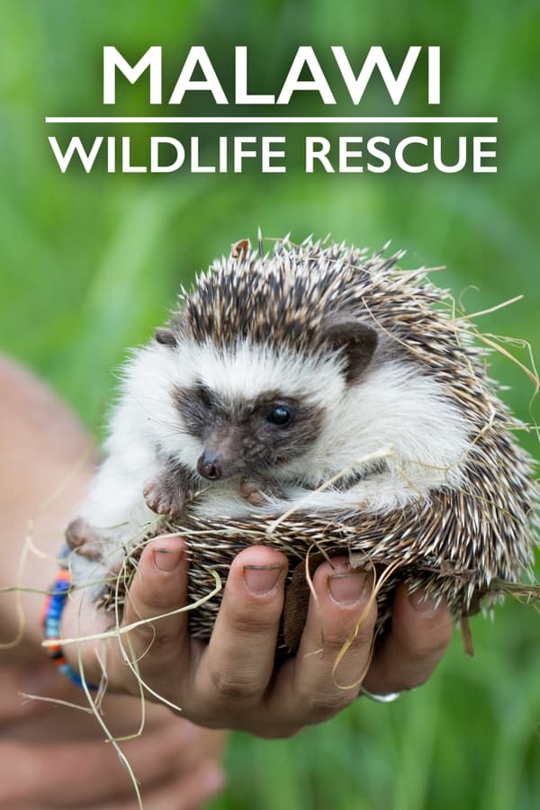 Malawi Wildlife Rescue