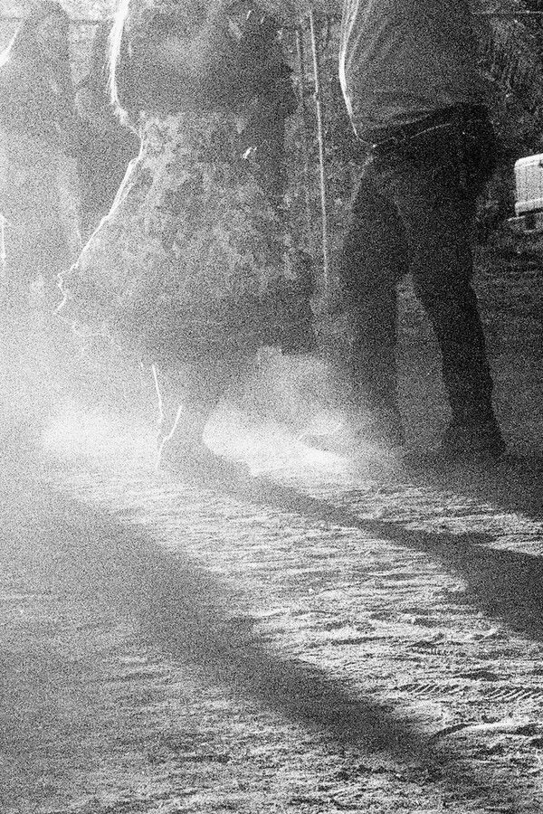 Celebrations at O’Higgins Park