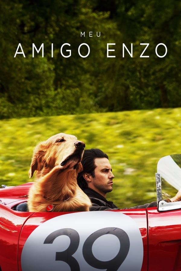 BR: Meu Amigo Enzo (2019)