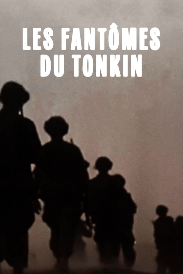 Juin 1955. Un an après la bataille de Diên Biên Phu et le retrait des troupes françaises du Tonkin, le capitaine Paul Belmont est envoyé seul pour identifier et retrouver l'emplacement des tombes des soldats français tombés sur le champ de bataille.